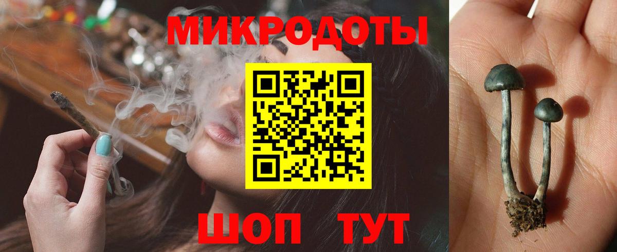 Псилоцибиновые грибы Magic Shrooms Сатка