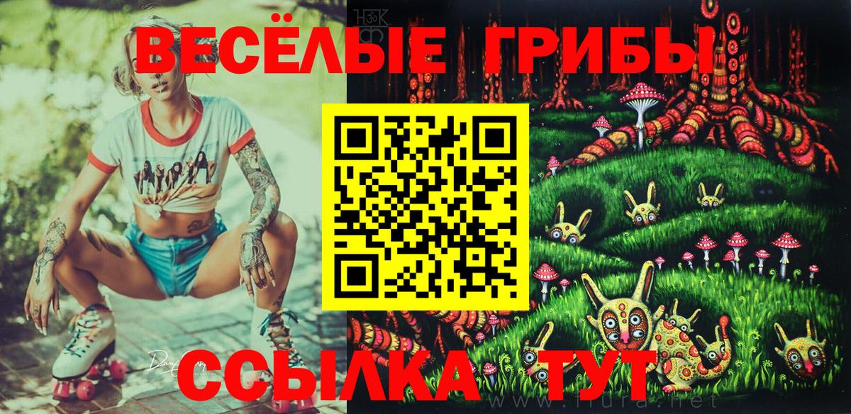 закладка  Псилоцибиновые грибы Cubensis  Галлюциногенные грибы Cubensis  Вход с VPN  Сатка 